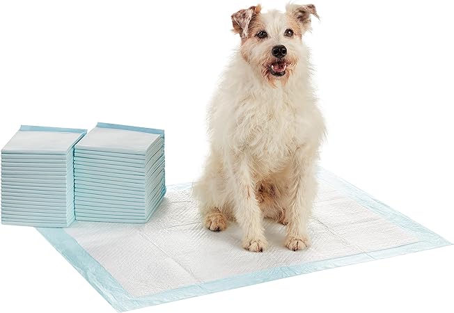 Photo 1 of Amazon Basics Dog and Puppy Pee Pads with 5-Layer Leak-Proof Design and Quick-Dry Surface for POTTY