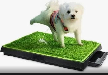 Photo 1 of  Dog Grass Pad with Tray Large, Puppy Turf Potty