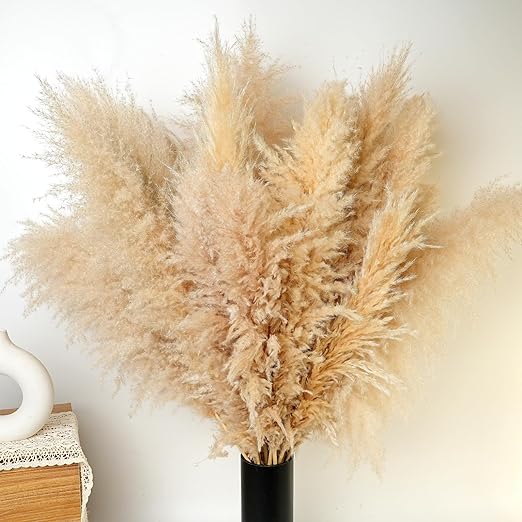 Photo 1 of 10 PCS Pampas Grass Stems in Natural Beige, Add a Boho Touch to Your Space—Pompas Grass Ideal for Floral Arrangements, Floor Vases, Weddings, and Creating a Bohemian Ambiance at Home.