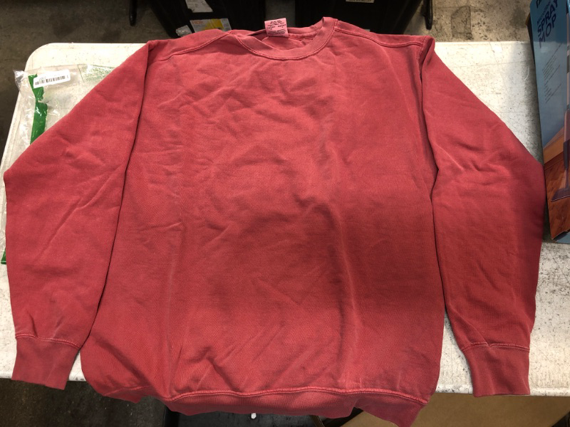 Photo 1 of COMFORT COLORS SWEATSHIRT -  SIZE L 