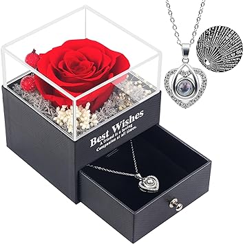 Photo 1 of 18INDC Preserved Red Rose with I Love You Necklace in 100 Languages-Eternal Flowers Rose Gifts for Mom Wife Girlfriend Her on Anniversary Mothers Day Valentines Day Christmas Birthday Gifts for Women