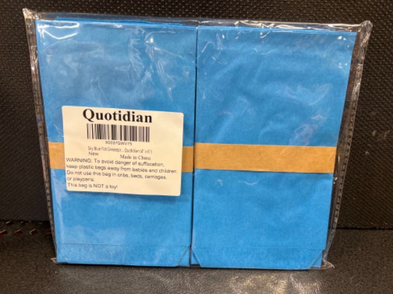 Photo 2 of  Glassine Paper Bags Envelopes by Quotidian (4''x6'')(Sky blue)