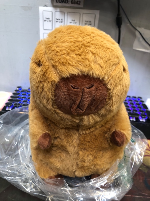 Photo 1 of CAPYBARA PLUSH TOY 