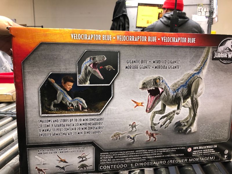 Photo 3 of Jurassic World Super Colossal Velociraptor Blue 18” High & 3.5 Feet Long with Realistic Color, Articulated Arms & Legs & Jurassic World Camp Cretaceous Super Colossal Indominus Rex Action Figure