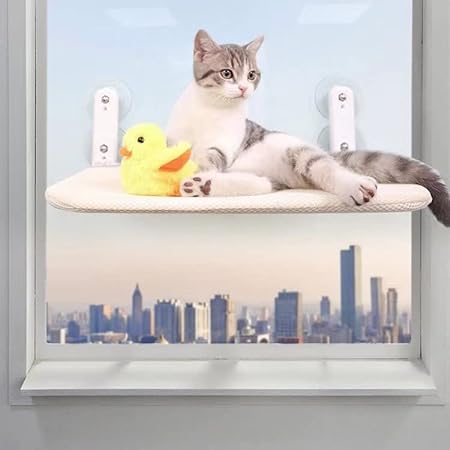 Photo 1 of AHOARAN Cordless Cat Window Perch,Foldable Cat Window Hammock with Two Replaceable Covers,4 Strong Suction Cups and Steel Frame,Seat for Indoor Cats?Cat Sunbathing?Washable (Medium)
