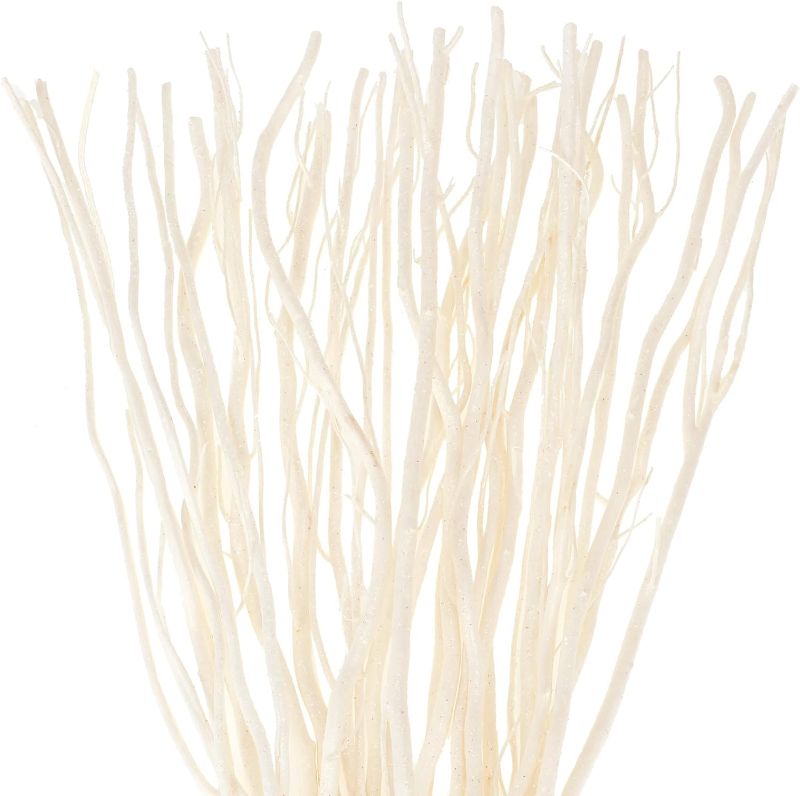 Photo 1 of 50 Pcs Dried Willow Vase Filler Curly Willow Branches 17 Inch Tree Branches for Decoration Decorative Sticks Twigs and Branches for Vases Twigs Decor for DIY Crafts Christmas Wedding (Glitter White)
