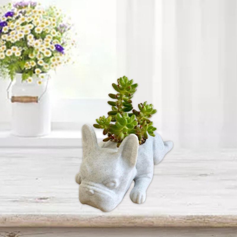 Photo 1 of 1Pcs Animal Shaped Bulldog Flower Pot Garden Decoration Desktop Ornament Planter Potting Container Flowerpot Succulent Plants Pot WHITE