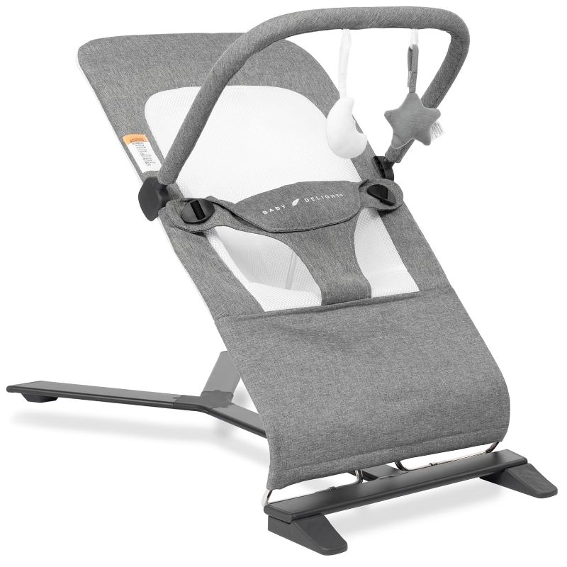 Photo 1 of Baby Delight Alpine Deluxe Portable Bouncer, Infant, 0 – 6 months, Charcoal Tweed