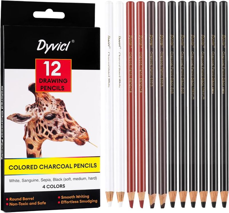 Photo 1 of Dyvicl Colored Charcoal Pencils Drawing Set, 12 Pieces Black White Charcoal Pencils for Drawing, Sketching, Shading, Blending, Pastel Chalk Pencils for Beginners and Artists
