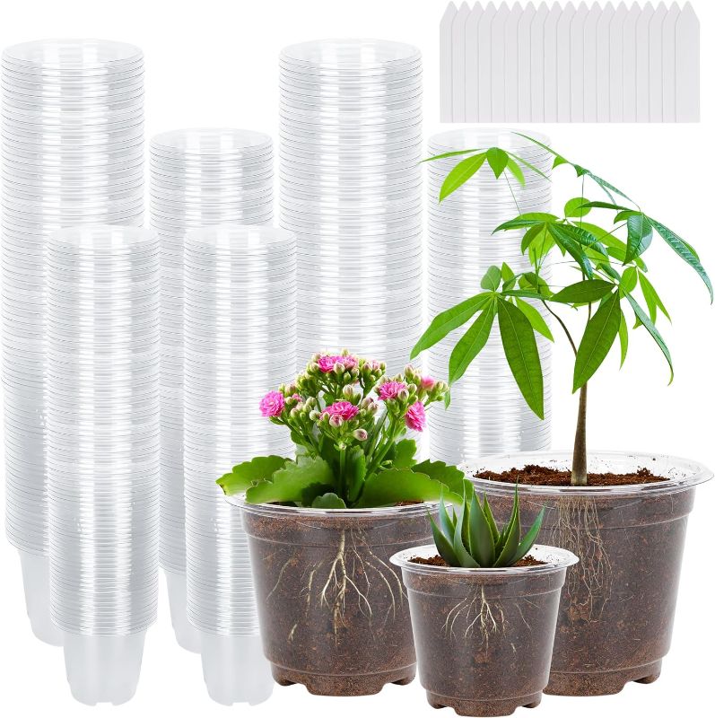 Photo 1 of 100 Pack 3.5/4/5 Inch Clear Nursery Pots, Transparent Plant Pots, Plastic Seedling Pots with Drainage Holes Seed Starter Planter Garden Pots with 100 Plant Labels for Vegetable Flower Plants