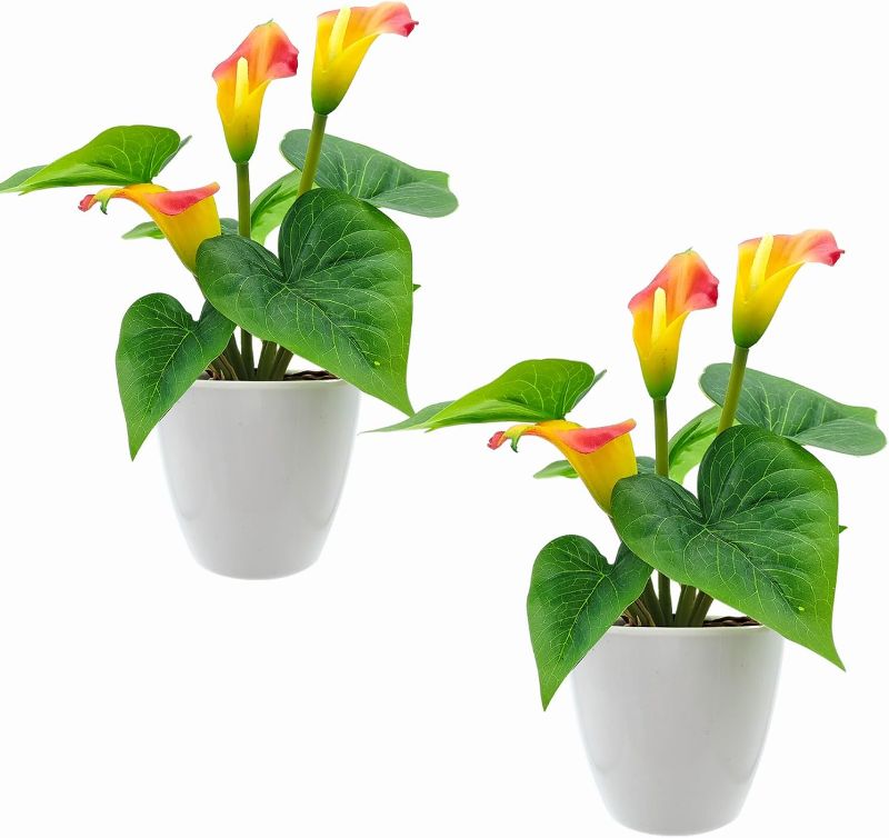 Photo 1 of Carfoeny 2Pcs Calla Lily Artificial Flowers with Plastic White Pot, Small Fake Plant, Faux Potted Flower for Home Decor Indoor Outdoor Table Office Decoration