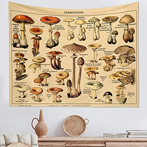 Photo 1 of Mushroom Tapestry Vintage Tapestry Illustrative Reference Chart Tapestry Tapestry Home Decor Bedroom Aesthetic Decoration Hd Printed Art Tapestry (59 * 79,1)