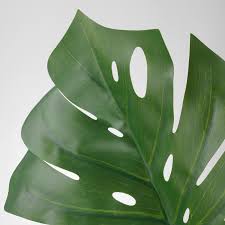 Photo 1 of  Artificial leaf, monstera, green plant