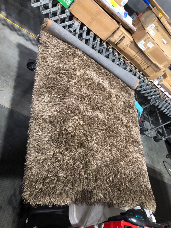 Photo 3 of ***USED - DIRTY - NO PACKAGING***
Shag Rug, Multicolored Brown, 4' x 6'