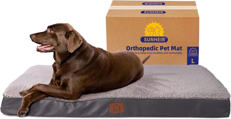 Photo 1 of *similar to stock* Orthopedic Dog Bed for medium