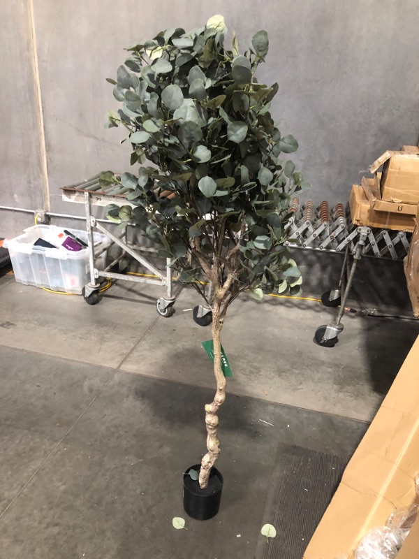 Photo 6 of ***USED - LEAVES FALLING OFF***
LYERSE 6ft Artificial Eucalyptus Tree in Plastic Nursery Pot, Tall Faux Eucalyptus Stems Fake Plants with 846 Silver Dollar Leaves