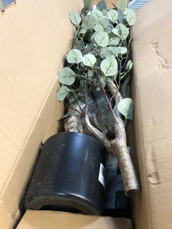 Photo 5 of ***USED - LEAVES FALLING OFF***
LYERSE 6ft Artificial Eucalyptus Tree in Plastic Nursery Pot, Tall Faux Eucalyptus Stems Fake Plants with 846 Silver Dollar Leaves