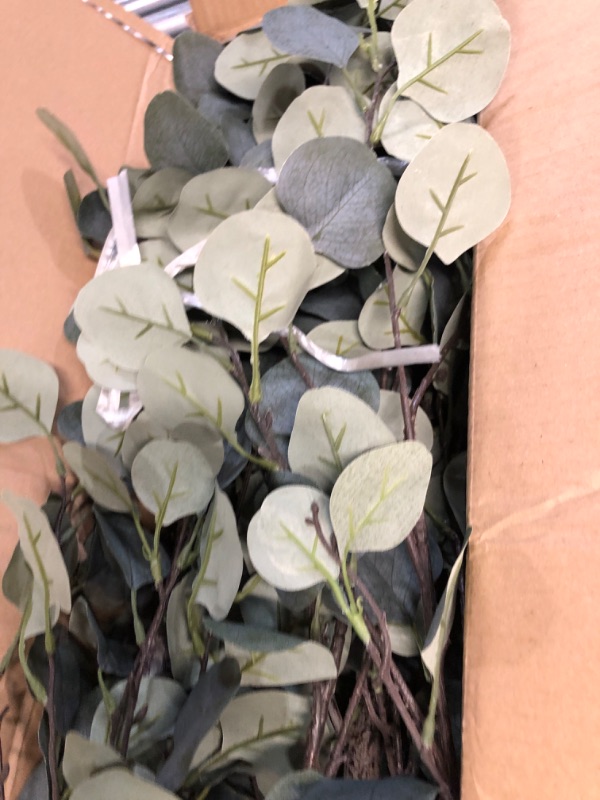 Photo 2 of ***USED - LEAVES FALLING OFF***
LYERSE 6ft Artificial Eucalyptus Tree in Plastic Nursery Pot, Tall Faux Eucalyptus Stems Fake Plants with 846 Silver Dollar Leaves