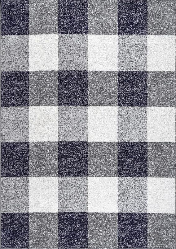 Photo 1 of (STOCK PHOTO FOR REFERENCE)
nuLOOM Aisha Buffalo Plaid Area Rug