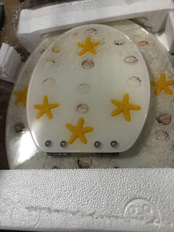 Photo 4 of Resin Toilet Seat Elongated with Built in Potty Training Seat, Soft Close Quick Release 3D Effects Heavy Duty Toilet Seats with Pearl Seashells Cover Family Oval Commode Ocean Series 19 Inch Toddler Seat Built In-19" White Pearl Seashells