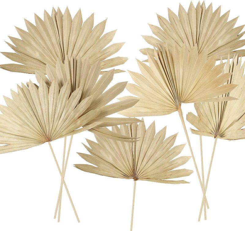 Photo 1 of 10 Pieces Large Dried Palm Leaves Decor Sun Palm Natural Dried Palm Fans Dried Palm Spears Gold Palm Leaf Dried Plants for Boho Wedding Bouquets Home Leaf Party Decorations( 10 Pieces )
