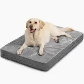 Photo 1 of 34 x 21 x3 inches grey dog bed