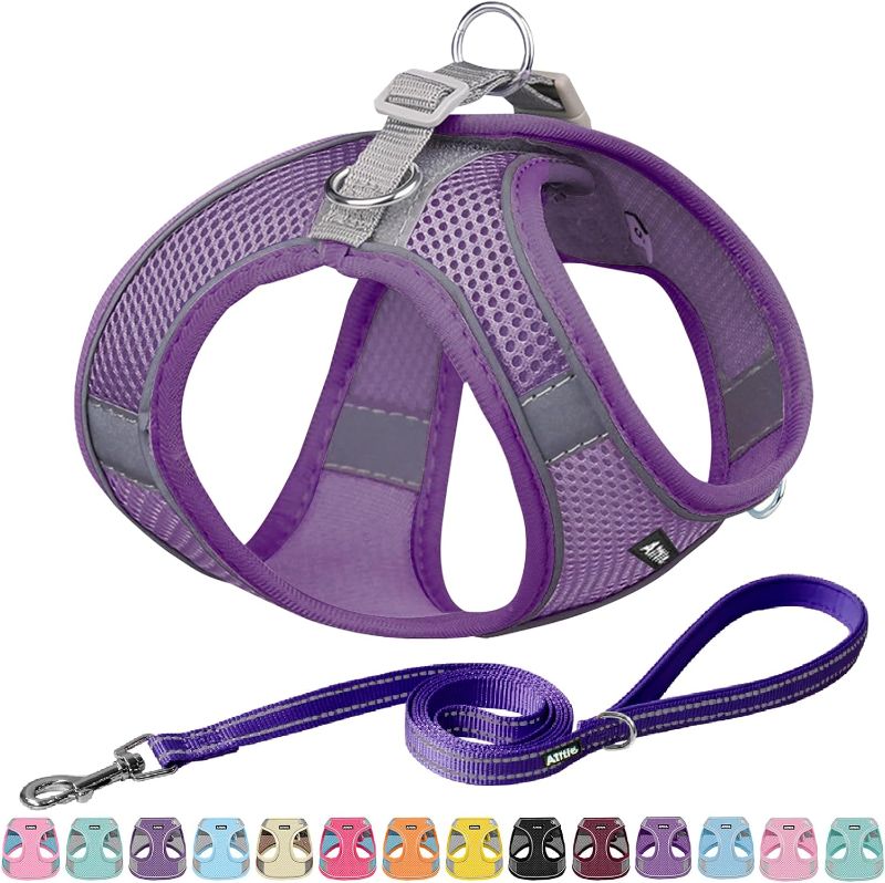 Photo 1 of AIITLE No Pull Dog Harness and Leash Set, Step in Adjustable Dog Harness with Padded Vest for All Weather, Dog Leash with Soft Padded Handle, Easy to Put on Small and Medium Dogs Pure Purple S S(Chest: 13.5 - 16") Pure Purple