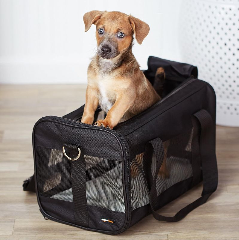 Photo 5 of Amazon Basics Soft-Sided Mesh Pet Travel Carrier for Dog, Cat, Medium, 16.5"L x 9.4"W x 9.8"H, Black