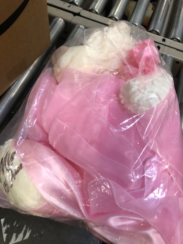 Photo 1 of 20" Quince Anos Quinceanera Last Doll Teddy Bear with Dress (Centerpiece) ~Pink~ B16831-3