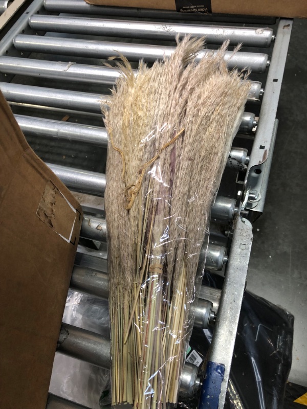 Photo 1 of 16 Inch 100 Stems Natural Pampas Grass, Boho Home Decor Pampas Grass for Wedding, Floor Vase, Flower Arrangement, Table Decoration (16" Inch 100 Stems)
