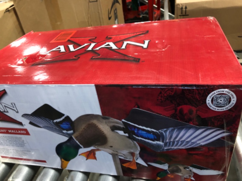 Photo 1 of Avian-X PowerFlight Mallard Decoy | Spinning Wing Duck Decoy