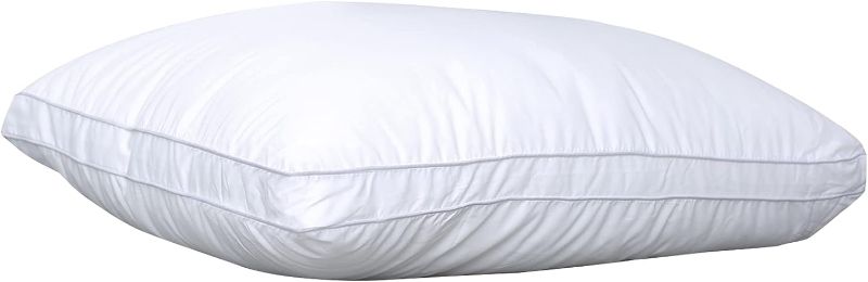 Photo 1 of BED PILLOW UNKNOWN SIZE 