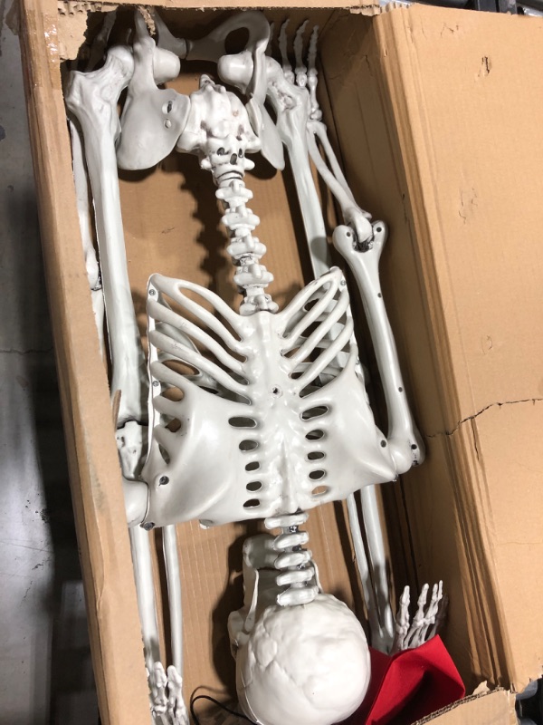 Photo 2 of yosager 5 ft Pose-N-Stay Life Size Skeleton with Glowing Eyes, Human Bones Full Body Realistic with Posable Joints, Pose Skeleton Prop for Halloween Decoration