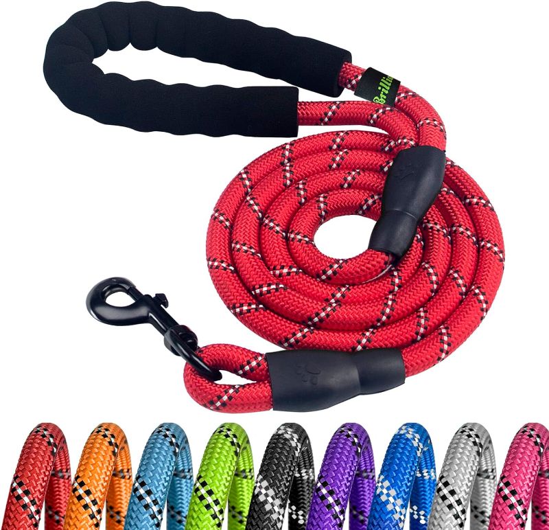 Photo 1 of Brilliant Paw Strong Rope Dog Leash 5Ft, Durable Nylon Dog Leash, Dog Lead, with Highly Reflective Thread and Comfortable Soft Padded Handle, Heavy Duty Dog Leash for Medium, Large Dog, Red…
