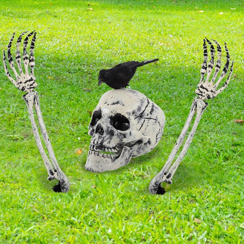 Photo 1 of YQNLIFA Realistic Skeleton Stakes and Crow Halloween Decorations, Scary Skull Head Skull Arms Groundbreakers and Crow Halloween Decorations for Indoor Outdoor Garden Graveyard Lawn Yard Party
