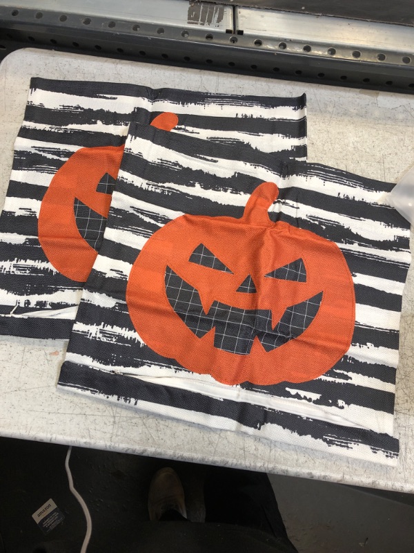 Photo 1 of 2 Pack Halloween Pillow Cases 18x18