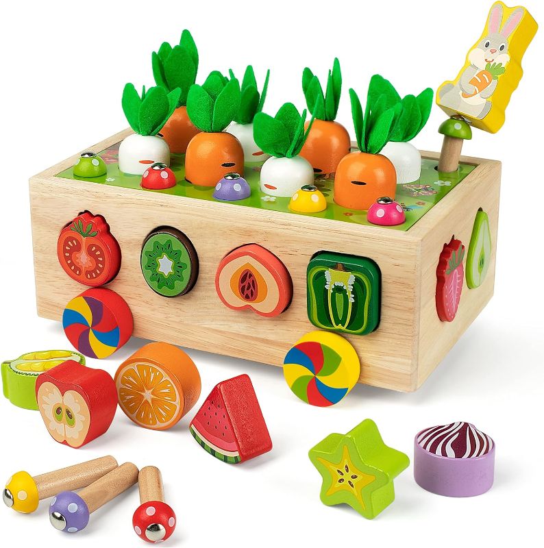 Photo 1 of Coogam Montessori Fine Motor Toys for Baby Toddler, Wooden Shape Sorter Carrot Harvest Game, Preschool Learning Educational Gift Toy for 3 4 5 Year Old
