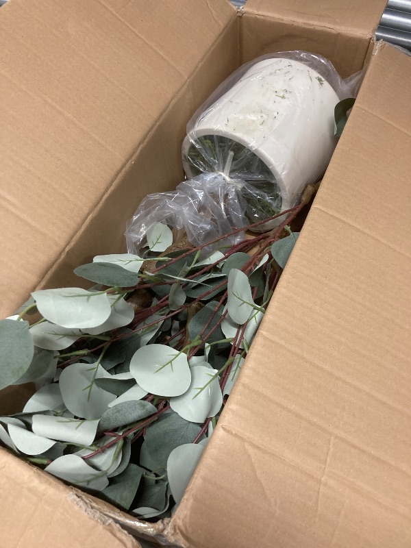 Photo 1 of 5ft Artificial Eucalyptus Silk Plants in Pot, Faux Plastic Eucalyptus Tree with Durable Plastic Trunk for Home Decor Office House Living Room Indoor Outdoor
