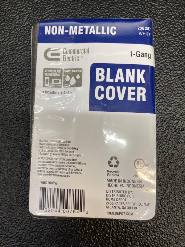 Photo 1 of 1-Gang Blank Non-Metallic Weatherproof Cover, White
