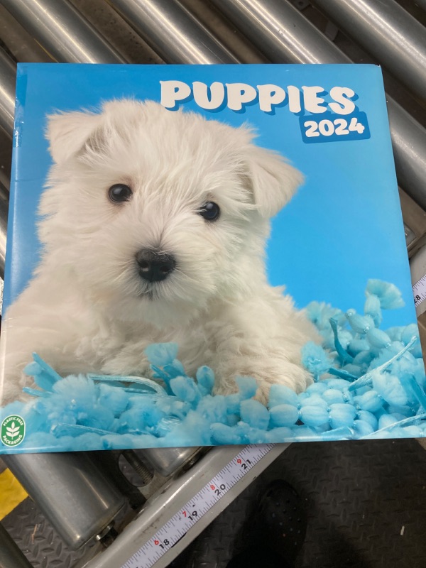 Photo 1 of Dogs Wall Calendar 2024 12" x 12" FSC® Plastic Free - Starts Week On Sunday | 12 Month Planner | Square Wall Calendar 2024 | Family Planner Calendar 2024 | Dog Calendar 2024 | Puppies Calendar 2024 Dogs 2024