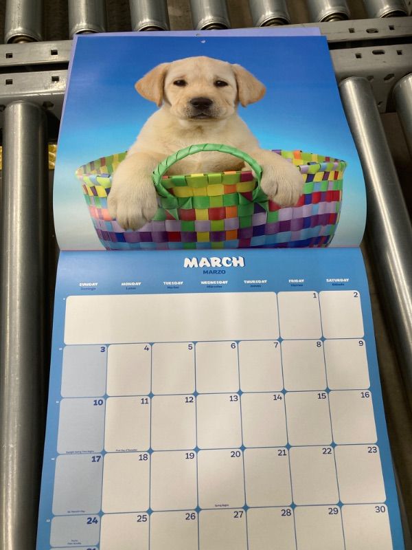 Photo 2 of Dogs Wall Calendar 2024 12" x 12" FSC® Plastic Free - Starts Week On Sunday | 12 Month Planner | Square Wall Calendar 2024 | Family Planner Calendar 2024 | Dog Calendar 2024 | Puppies Calendar 2024 Dogs 2024