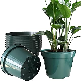 Photo 1 of 10 Pack Plastic Planter Pots, 10 Inch Thick Plant Pots with Multiple Drainage Holes, Pots for Plants Such as Herbs Strawberry and Flowers, Green Growing Planters for Outdoor Plants or Indoor (Green)