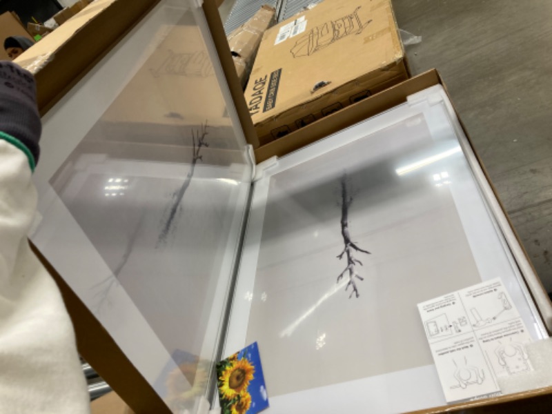 Photo 1 of 24x36 Metal Picture Frame with 20x30 Mat, Brushed Aluminum Finish, Tempered Glass Front, and Attached Hanging Hardware - Versatile Wall Display Frames for Vertical or Horizontal Orientation(Silver, Silver 24x36 - 2P