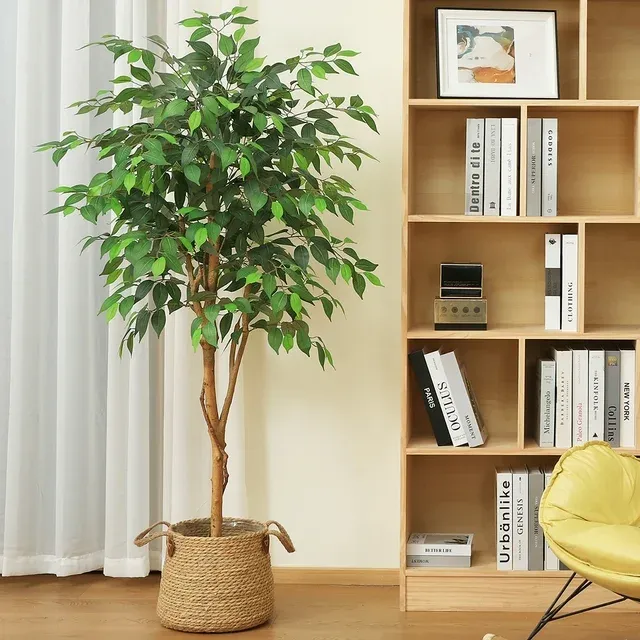 Photo 1 of 5FT Artificial Ficus Tree with Wood Trunk for Living Room, Plant in Black Plastic Pot. DR.Planzen
