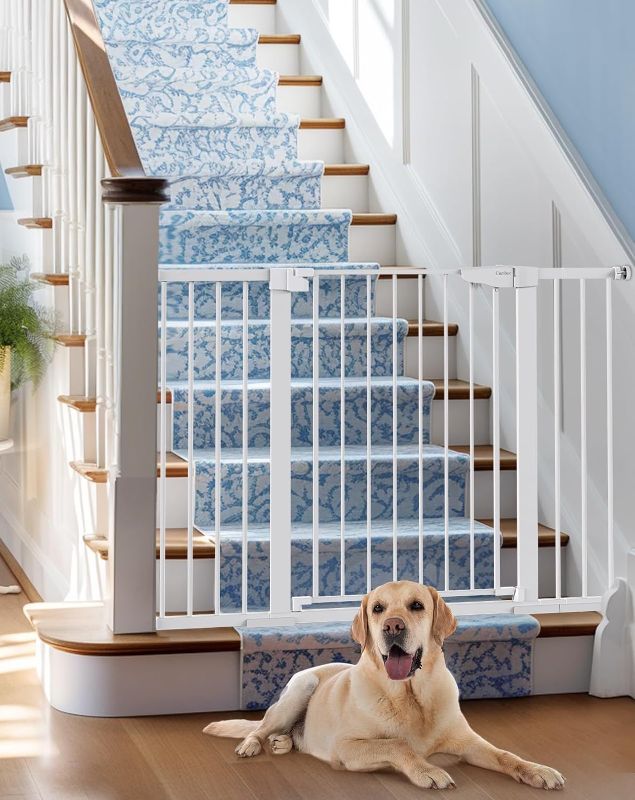 Photo 1 of White Safety Gate For Dogs and Babies 