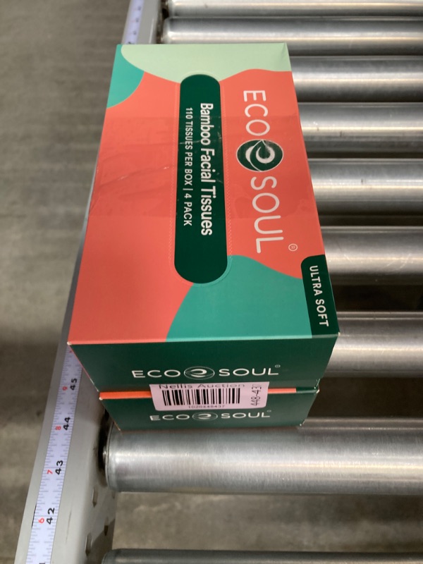Photo 1 of *** BUNDLE 2 Pack (220ct total) *** ECO SOUL 100% Bamboo Premium Facial Tissue Box 110 Count | 1 Pack of 110 | Hypoallergenic, Eco-Friendly, 2 Ply Facial Paper Tissue,