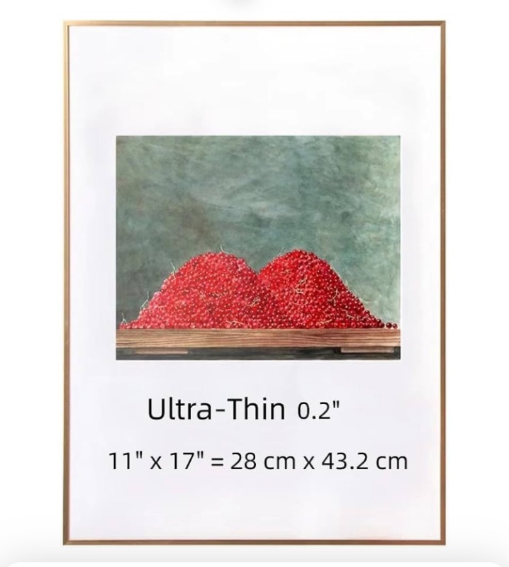 Photo 1 of ZWYAN 11x17 Picture Frame Ultra-Thin Aluminum Alloy Photo Poster Frame Display