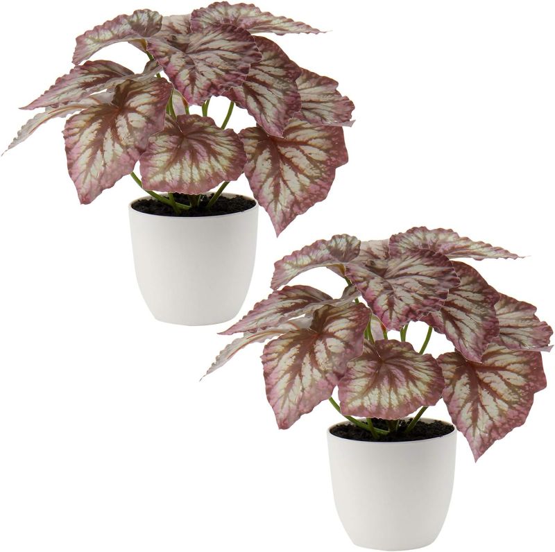 Photo 1 of Briful 2 PCS Artificial Potted Alocasia Begonia Calathea Plants Mini Fake Plants in Plastic Pot Small Greenery Faux Plants Indoor for Home Office Desk Room Table Bathroom Bedroom Decorations