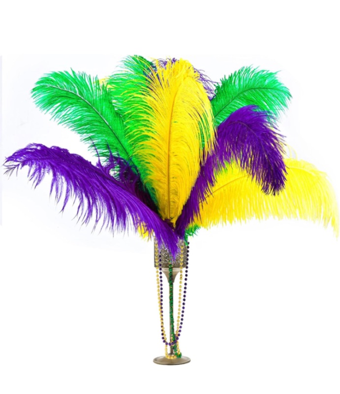 Photo 1 of 25
Mardi Gras Colorful Feathers Gold Green Purple Craft Feathers 14-16 Inch Natural Feather for Mardi Gras Home Party Decorations Table Centerpiece Costume DIY Crafts