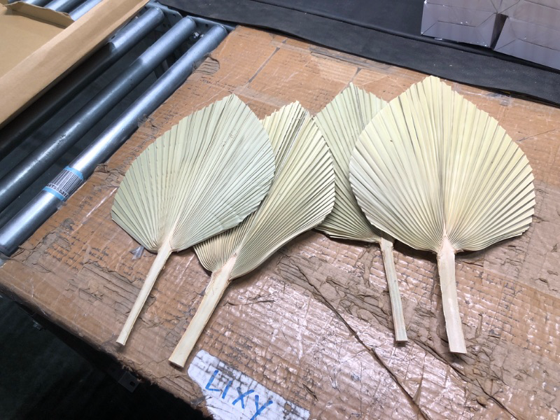 Photo 3 of  Dried Palm Leaves 4 Pieces 18.1’’ Natural Dried Palm Spears Large Dried Palm Fans Dried Flower Bouquet for Boho Wedding Home Party Kitchen Vase Farmhouse Table Arrangements Anniversary Decor